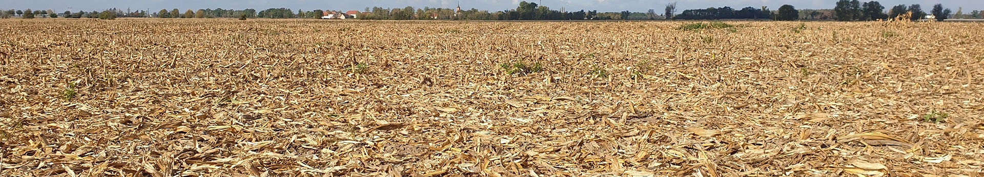 Expertise Sécheresse — RGA